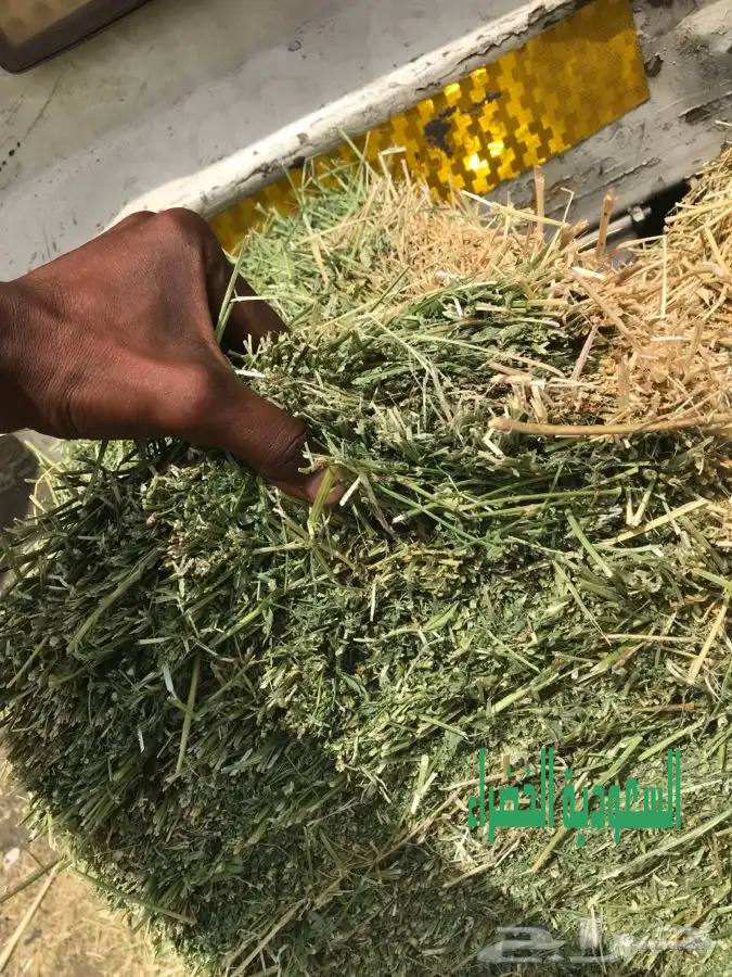 بيع جميع انواع الاعلاف