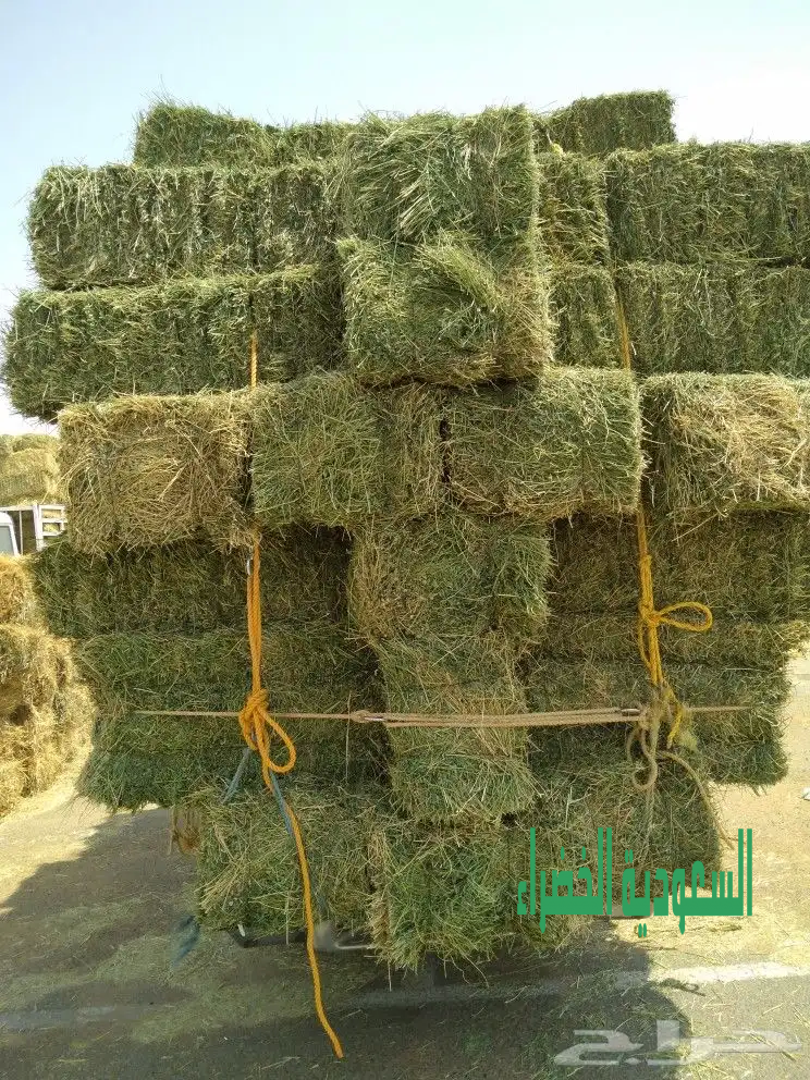 يوجد جميع انواع الاعلاف