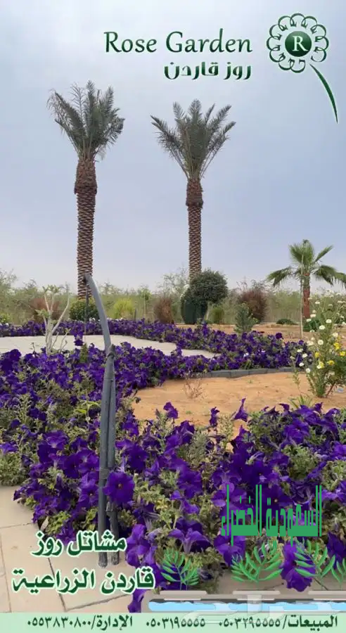 شتلات للبيع