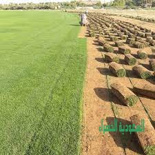 ثيل طبيعي وتوريد وتركيب وشبكات الري