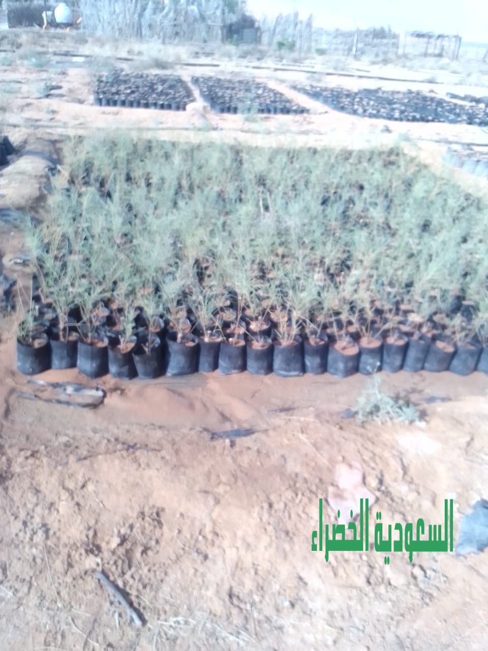 عندك مزرع تعال