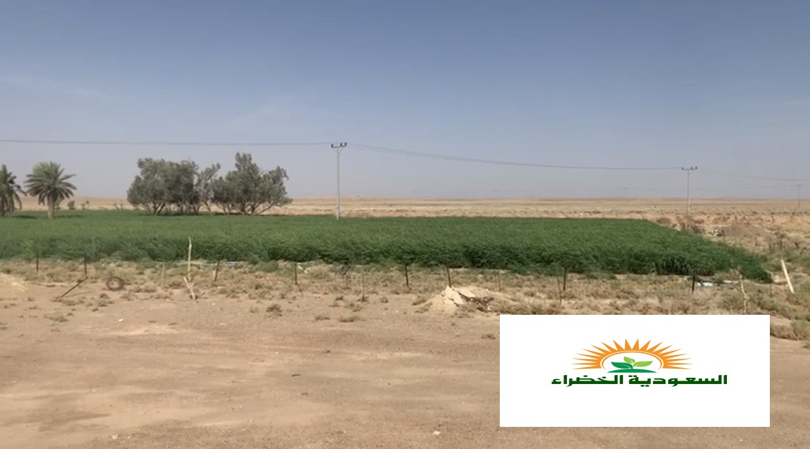 للبيع مزرعه في القصيم - الفواره