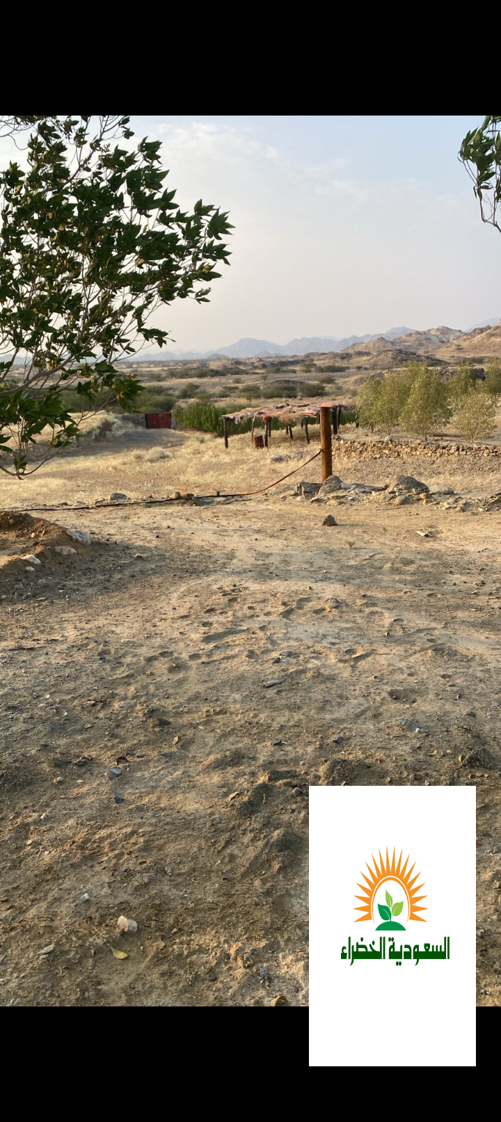 مزرعه للبيع او الايجار بالفطيحه