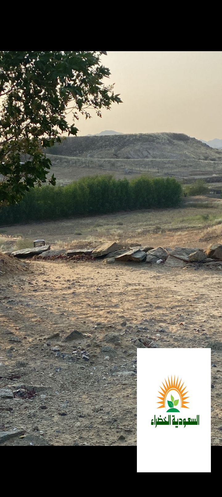 مزرعه للبيع او الايجار بالفطيحه